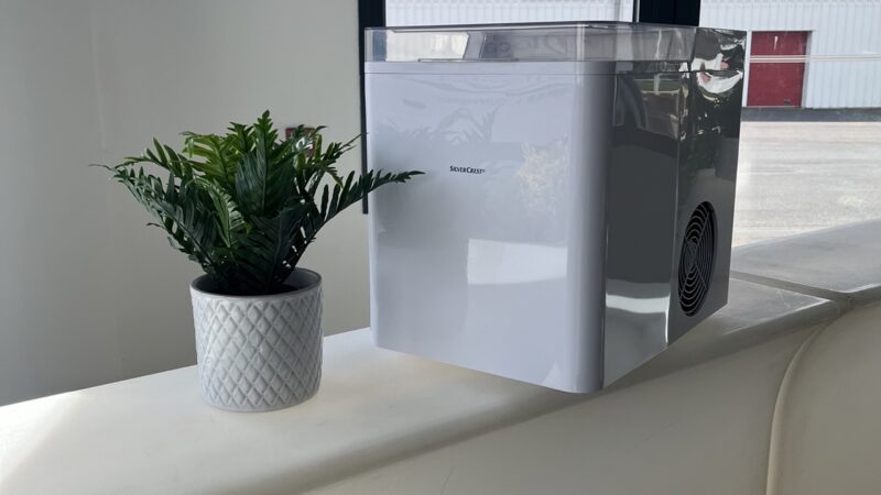 Plante artificielle Polypodium 21cm + cache pot